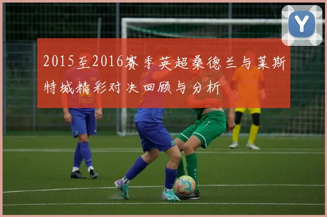 2015至2016赛季英超桑德兰与莱斯特城精彩对决回顾与分析